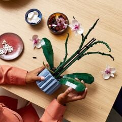 LEGO® Botanicals Orkide 10311 - Yetişkinler için Koleksiyonluk ve Serg