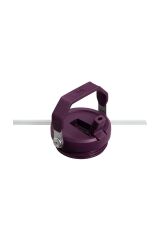 Stanley The IceFlow Flip Straw Pipetli Termos Bardak 0,89 LT -Turuncu